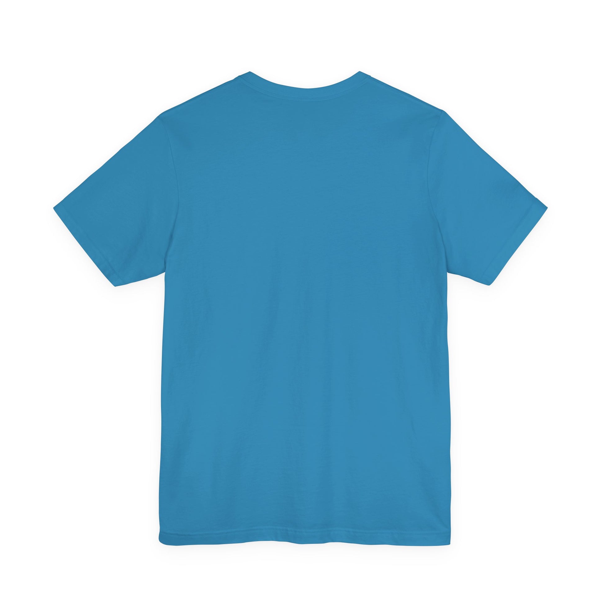 Back view of a blue t-shirt